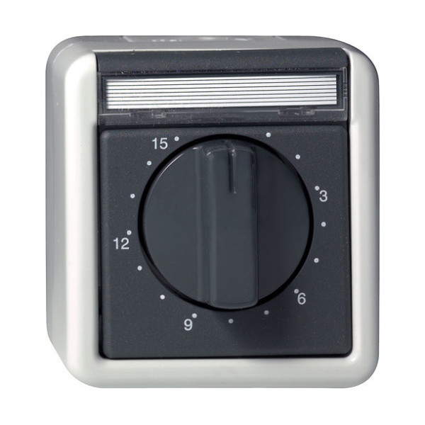 Gira 032030 Zeitschalter 2-polig 15 min Beschriftungsfeld WG AP Grau