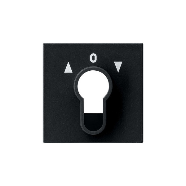 Gira 0664005 Abdeckung Schlüsselschalter/-taster System 55 Schwarz m