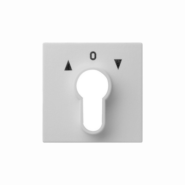 Gira 0664015 Abdeckung Schlüsselschalter/-taster System 55 Grau m