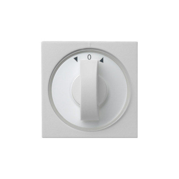 Gira 0666015 Abdeckung Knebel Zeitschalter + Jalousie System 55 Grau m