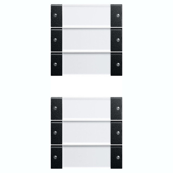 Gira 2136005 Wippenset 6-fach (3+3) Beschriftungsfeld System 55 Klar/Schwarz m