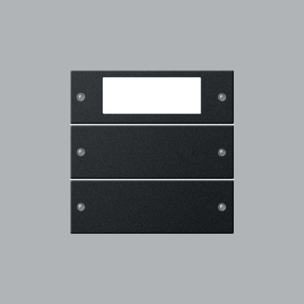 Gira 2192005 Wippenset 2-fach Plus System 55 Schwarz m(lack.)