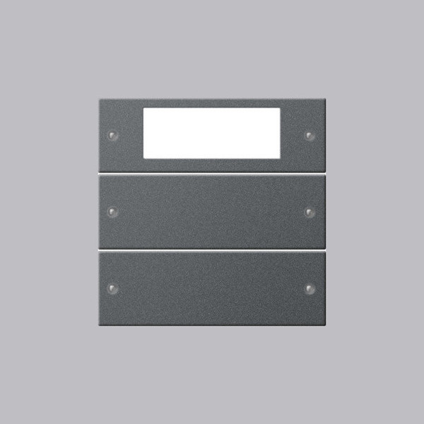 Gira 219228 Wippenset 2-fach Plus System 55 Anthrazit(lack.)