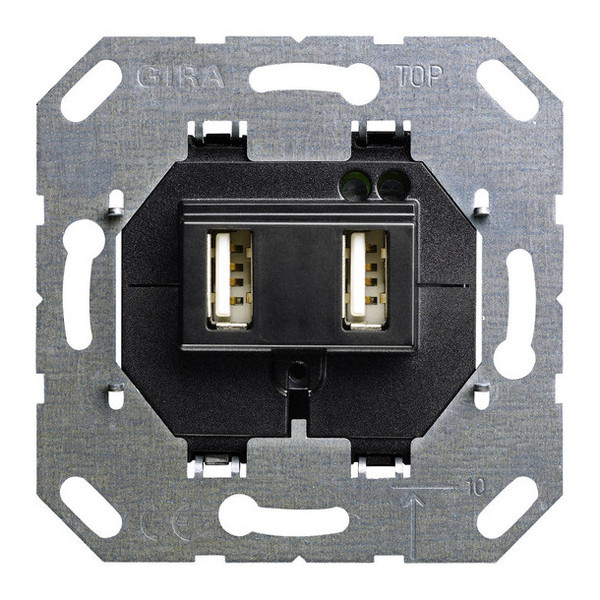 Gira 235900 USB-Spannungsversorgung 2-fach Typ A/A Einsatz Schwarz