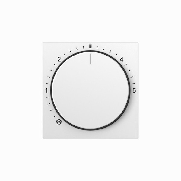 Gira 270227 Abdeckung RTR Kontroll System 55 Reinweiß m