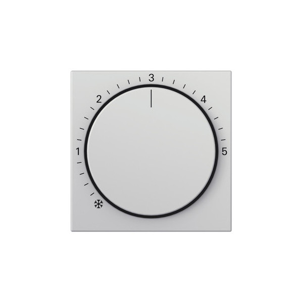 Gira 2706015 Abdeckung RTR System 55 Grau m