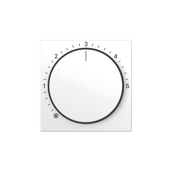 Gira 270603 Abdeckung RTR System 55 Reinweiß