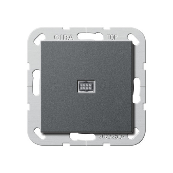 Gira 283428 Wipp-Kontroll BS 20 AX Aus 2-polig System 55 Anthrazit
