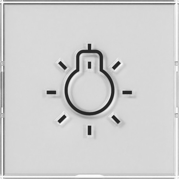 Gira 321600 Wippe Beschriftungsfeld + Symbol Licht groß tastbar System 55 Farbneutral