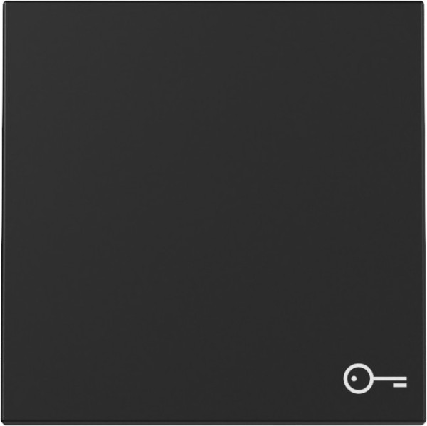 Gira 3287005 Wippe Symbol Tür System 55 Schwarz m