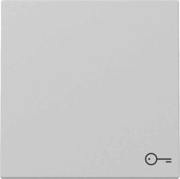 Gira 3287015 Wippe Symbol Tür System 55 Grau m