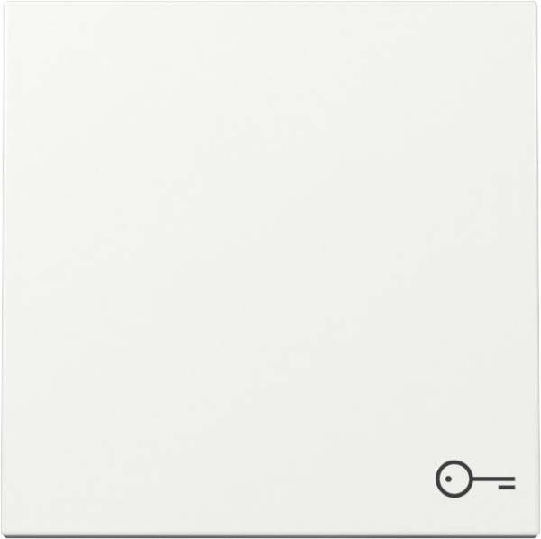 Gira 328703 Wippe Symbol Tür System 55 Reinweiß