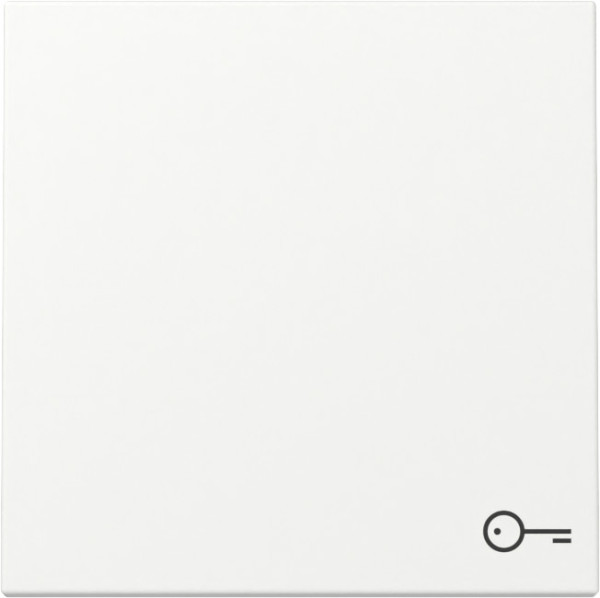 Gira 328727 Wippe Symbol Tür System 55 Reinweiß m