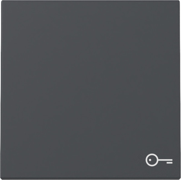 Gira 328728 Wippe Symbol Tür System 55 Anthrazit