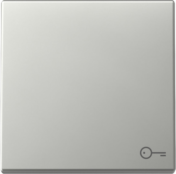 Gira 3287600 Wippe Symbol Tür System 55 Edelstahl