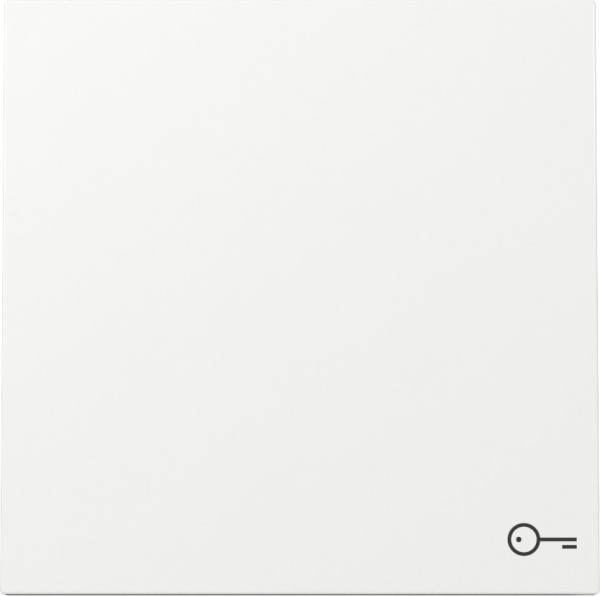 Gira 328770 Wippe Symbol Tür Flächenschalter Reinweiß