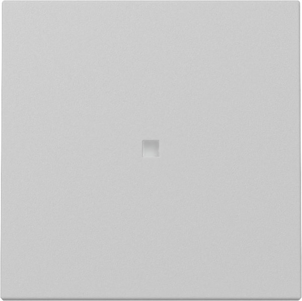 Gira 3290015 Wippe Kontrollfür System 55 Grau m