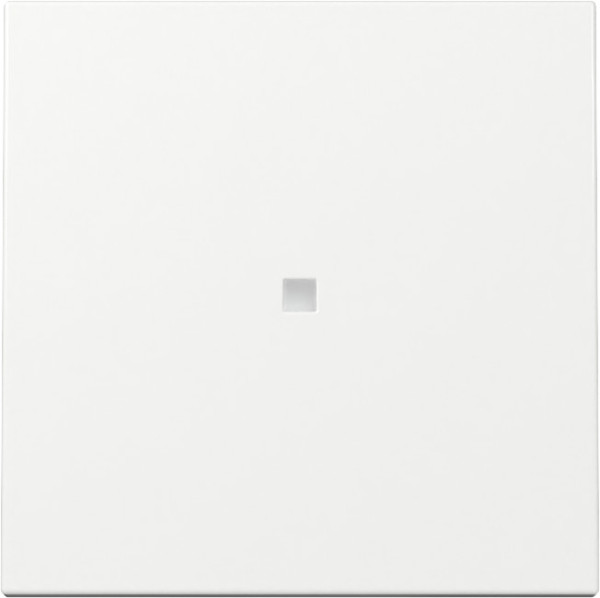 Gira 329003 Wippe Kontrollfür System 55 Reinweiß