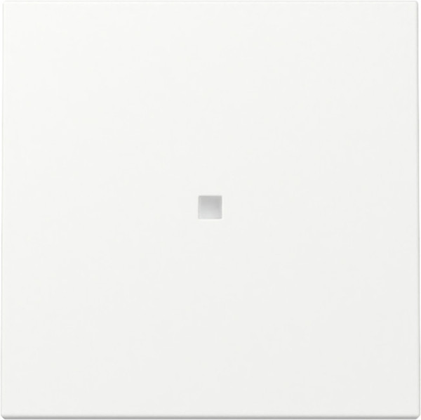 Gira 329027 Wippe Kontrollfür System 55 Reinweiß m