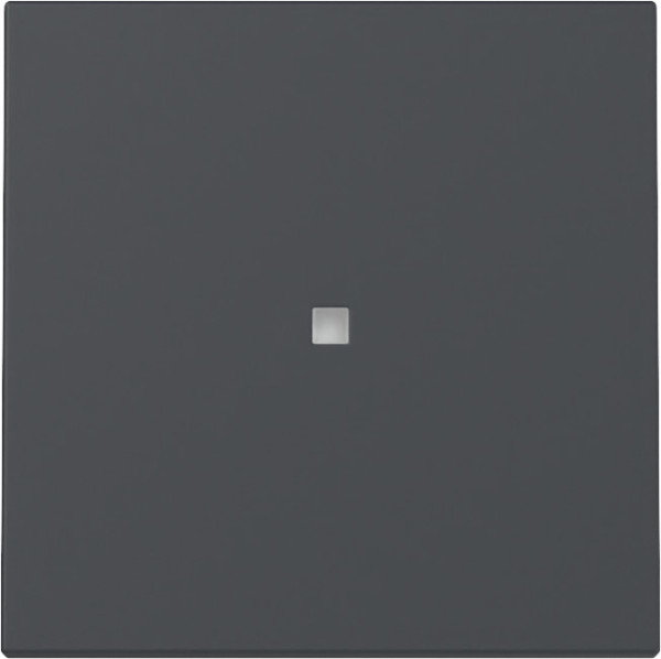 Gira 329028 Wippe Kontrollfür System 55 Anthrazit