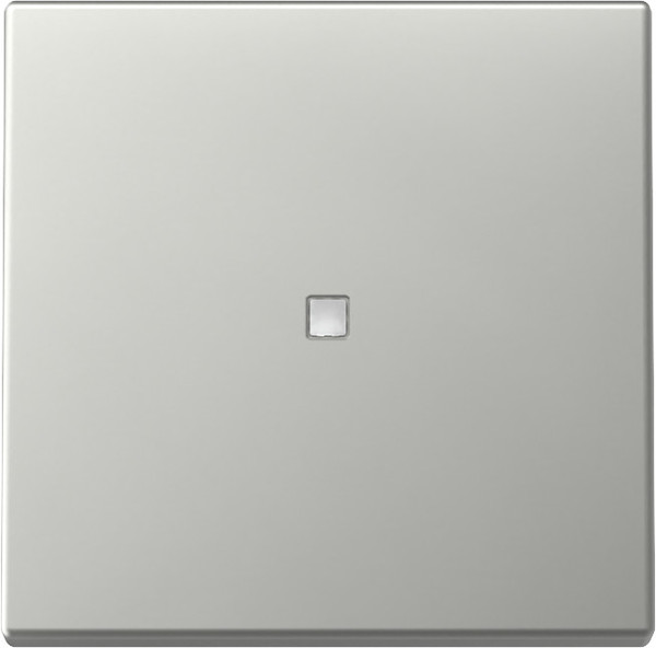 Gira 3290600 Wippe Kontrollfür System 55 Edelstahl