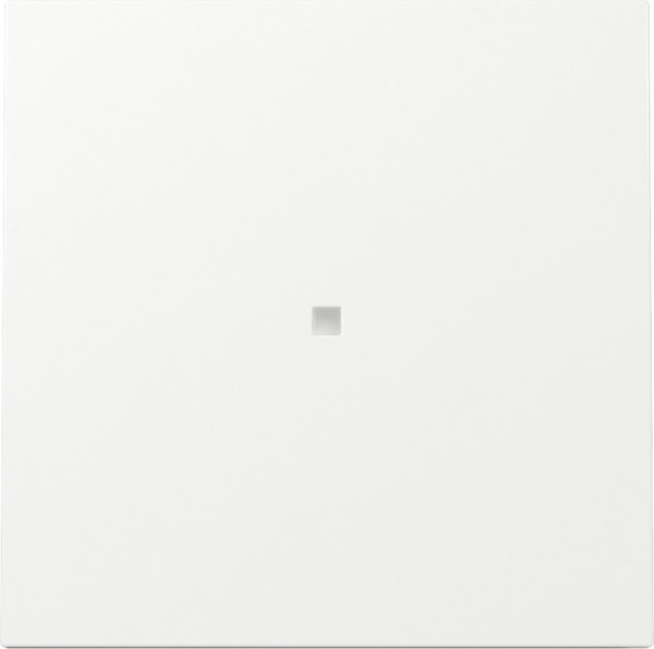 Gira 329070 Wippe Kontrollfür Flächenschalter Reinweiß