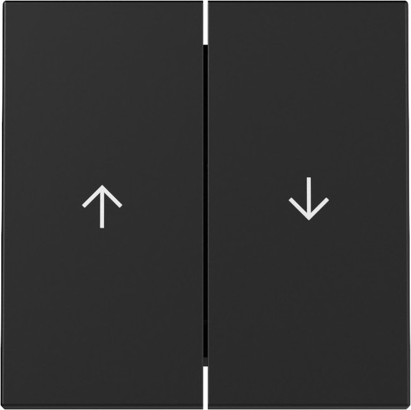 Gira 3294005 Wippe 2-fach Pfeil System 55 Schwarz m