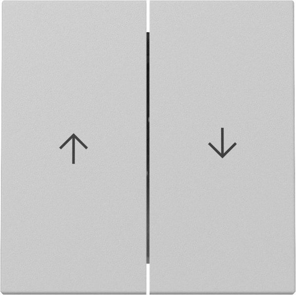 Gira 3294015 Wippe 2-fach Pfeil System 55 Grau m