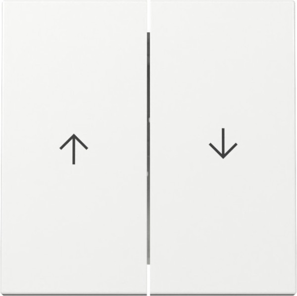 Gira 329403 Wippe 2-fach Pfeil System 55 Reinweiß