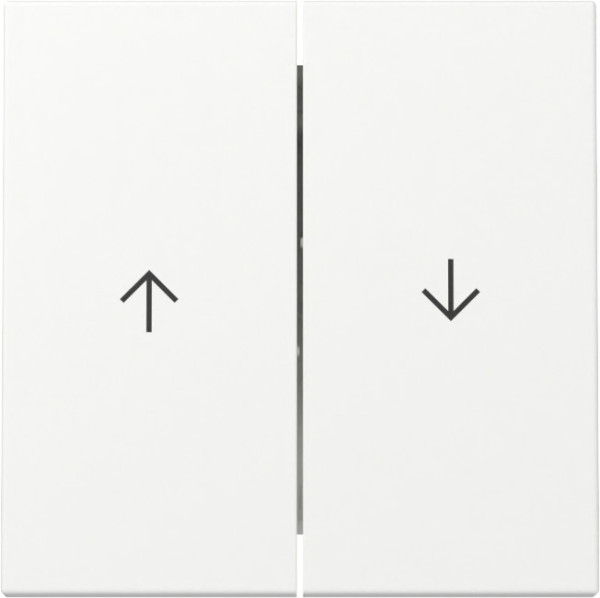 Gira 329427 Wippe 2-fach Pfeil System 55 Reinweiß m