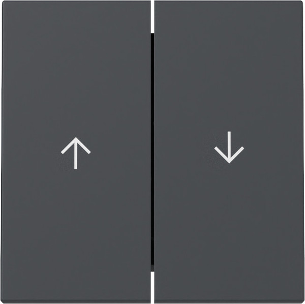 Gira 329428 Wippe 2-fach Pfeil System 55 Anthrazit