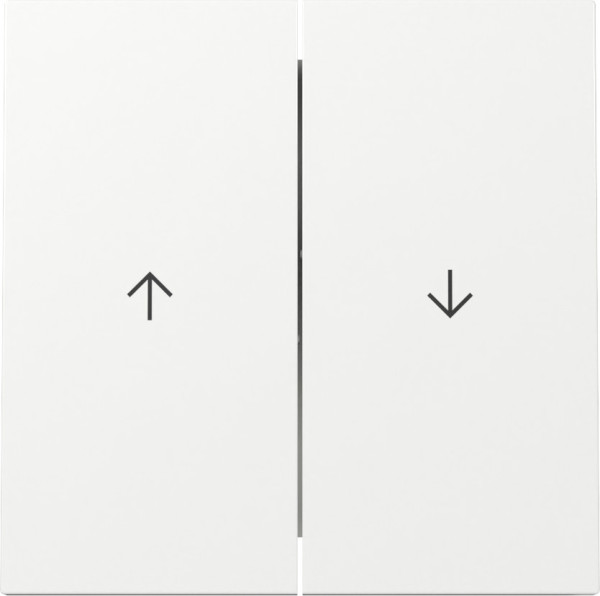 Gira 329470 Wippe 2-fach Pfeil Flächenschalter Reinweiß