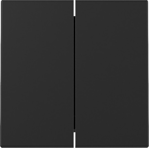 Gira 3295005 Wippe 2-fach System 55 Schwarz m