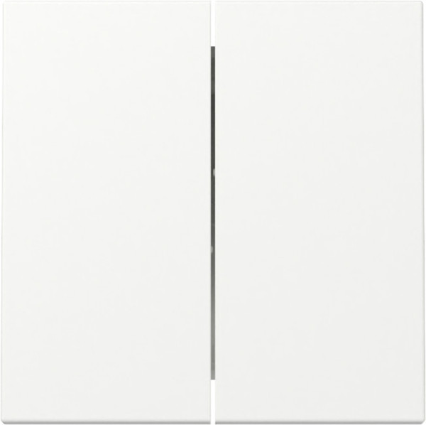 Gira 329527 Wippe 2-fach System 55 Reinweiß m