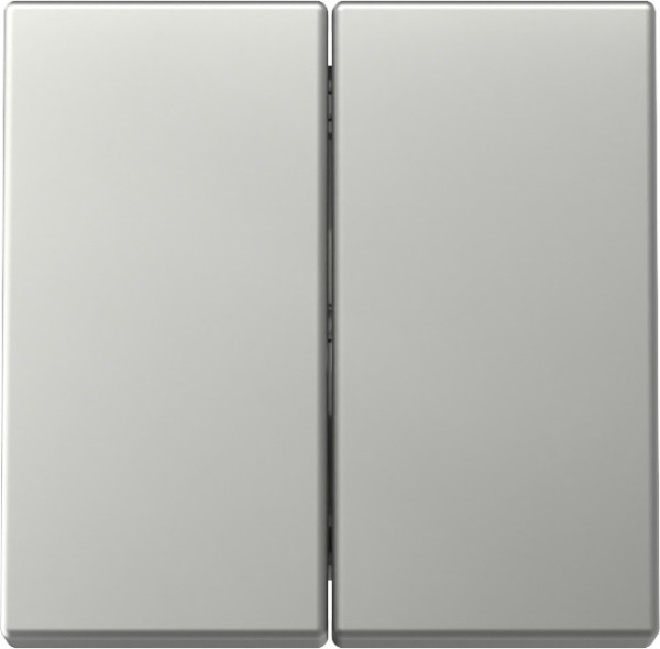 Gira 3295600 Wippe 2-fach System 55 Edelstahl