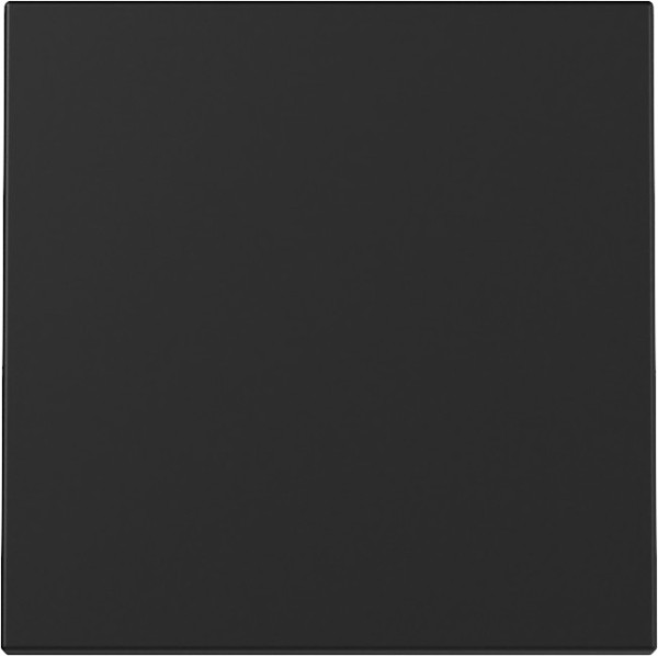 Gira 3296005 Wippe System 55 Schwarz m