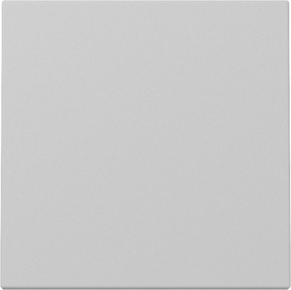 Gira 3296015 Wippe System 55 Grau m