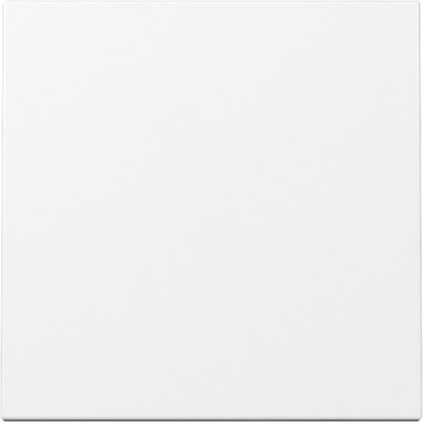 Gira 329603 Wippe System 55 Reinweiß