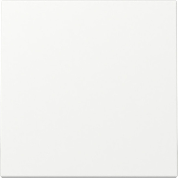 Gira 329627 Wippe System 55 Reinweiß m