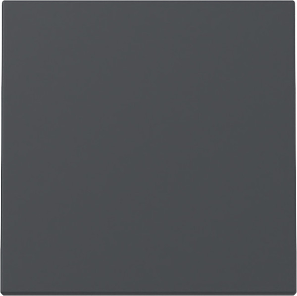 Gira 329628 Wippe System 55 Anthrazit