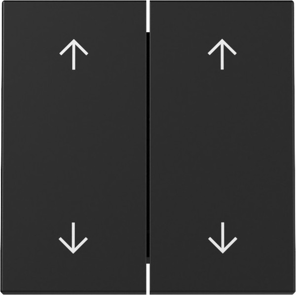 Gira 3297005 Wippe 2-fach Pfeile System 55 Schwarz m