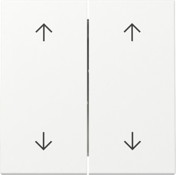 Gira 329727 Wippe 2-fach Pfeile System 55 Reinweiß m