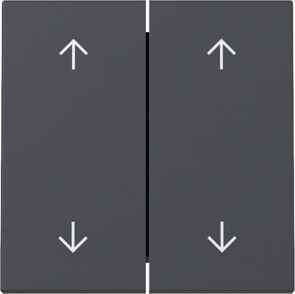 Gira 329728 Wippe 2-fach Pfeile System 55 Anthrazit