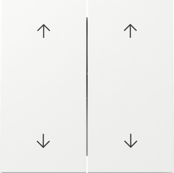 Gira 329770 Wippe 2-fach Pfeile Flächenschalter Reinweiß