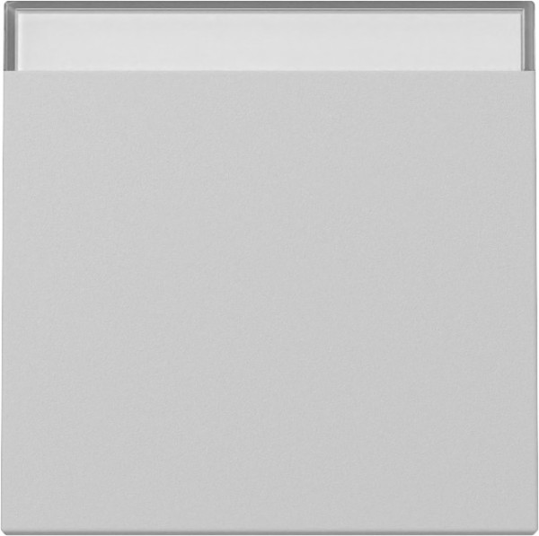 Gira 3299015 Wippe Beschriftungsfeld System 55 Grau m