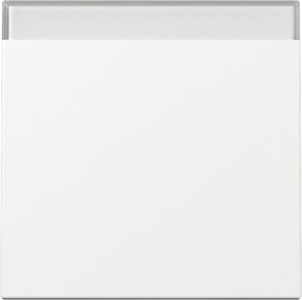 Gira 329903 Wippe Beschriftungsfeld System 55 Reinweiß