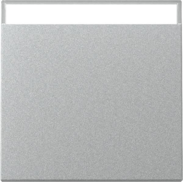 Gira 329926 Wippe Beschriftungsfeld System 55 F Alu