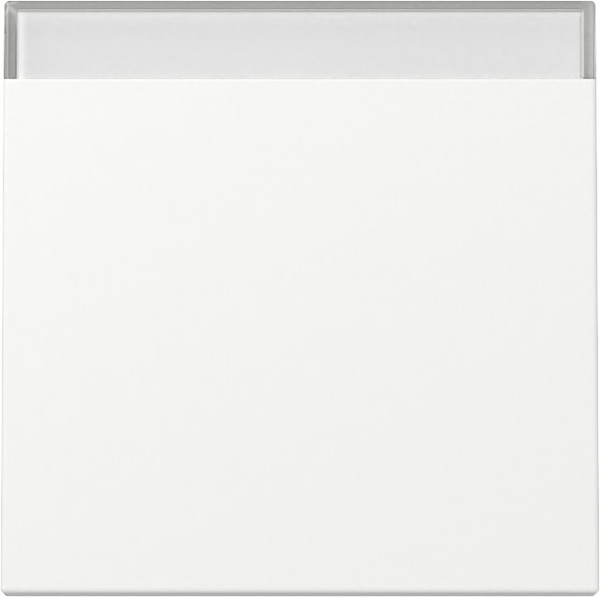 Gira 329927 Wippe Beschriftungsfeld System 55 Reinweiß m