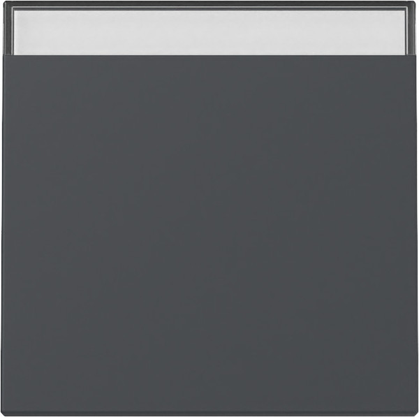 Gira 329928 Wippe Beschriftungsfeld System 55 Anthrazit