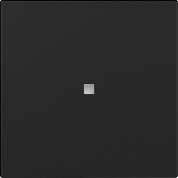 Gira 3490005 Wippe gerade Kontrollfür System 55 Schwarz m